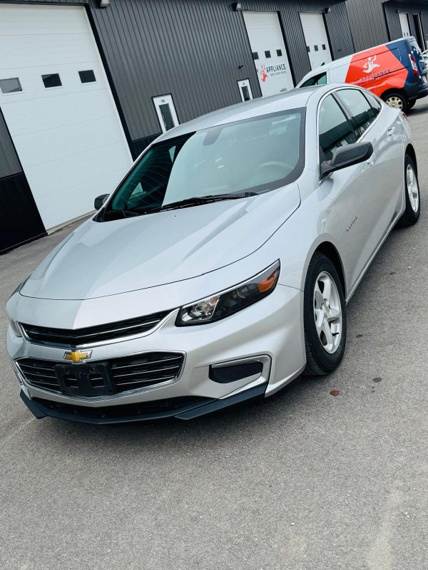 WhatsApp Image 2026 04 17 at 12 57 54(2)